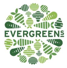 Evergreens